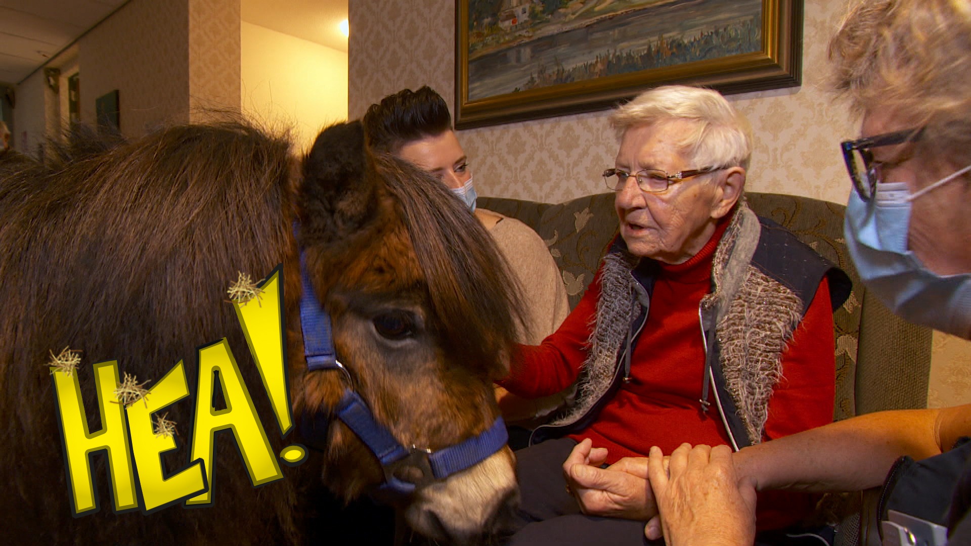 HEA! Ponny Daisy komt op besite
