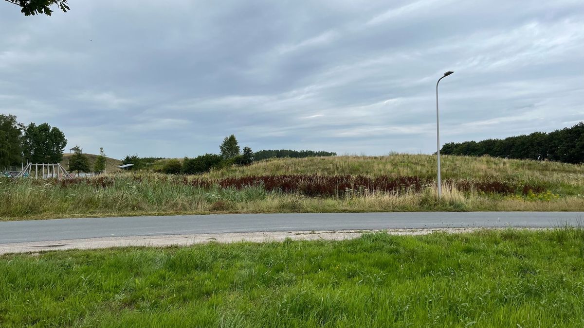 Assen krijgt survivalbaan in Kloosterveen