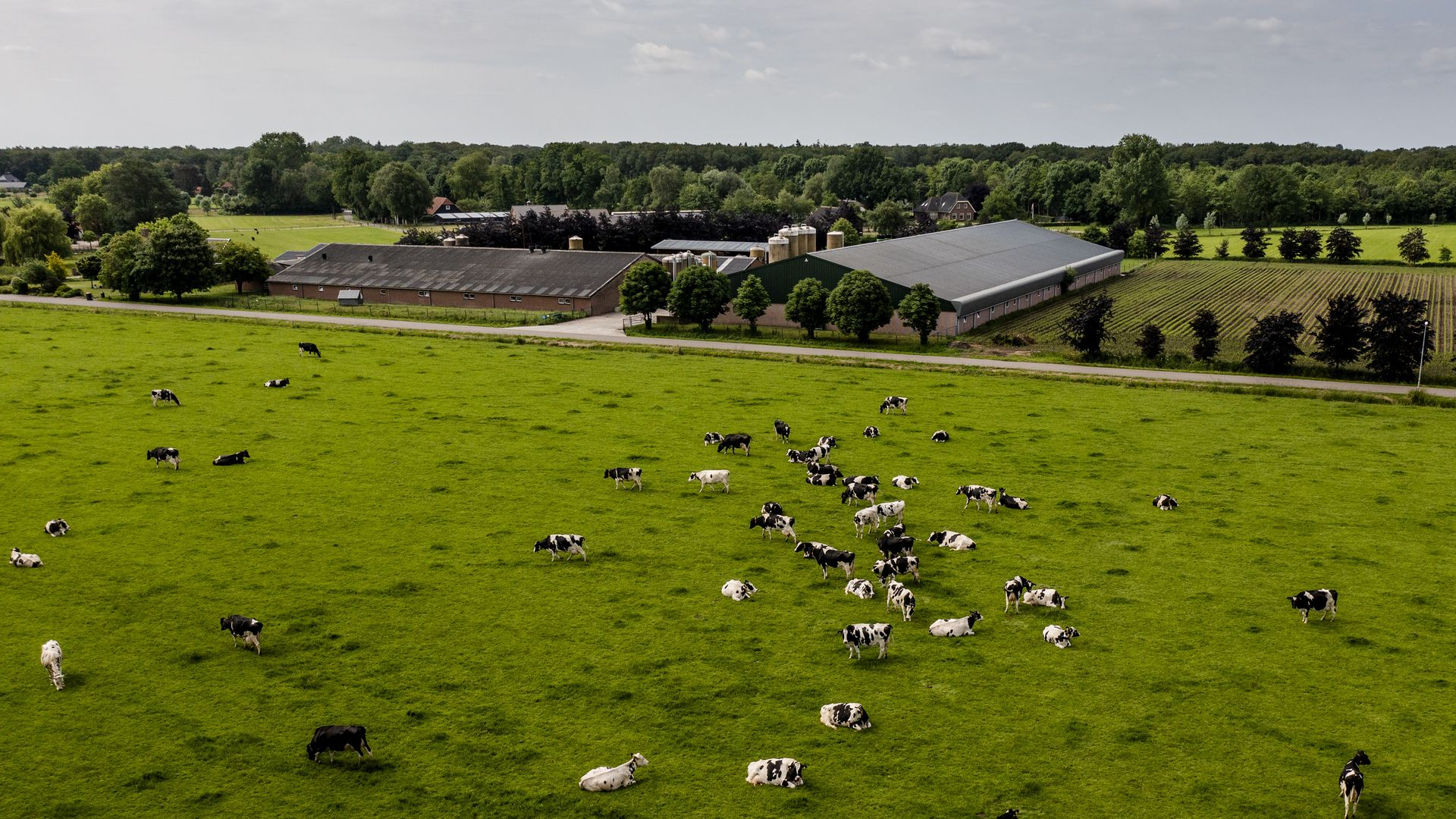 Ministerie verbood provincie om boerengegevens te gebruiken voor stikstofbeleid