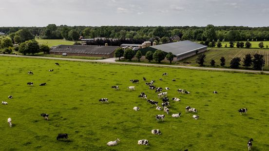 Ministerie verbood provincie om boerengegevens te gebruiken voor stikstofbeleid
