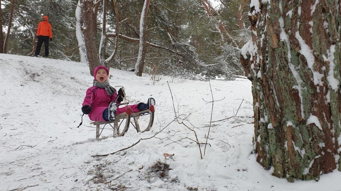 In de bossen bij Den Dolder.