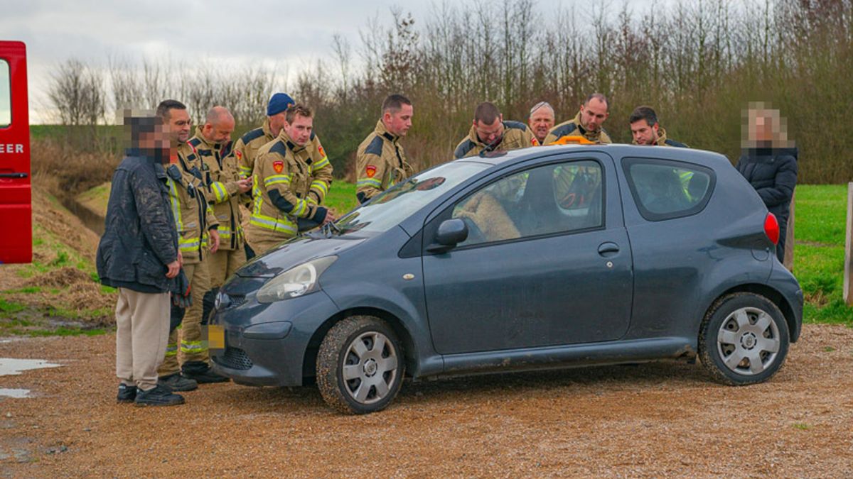 Hond doet zelf autodeur op slot, brandweer moet uitrukken om hem te bevrijden