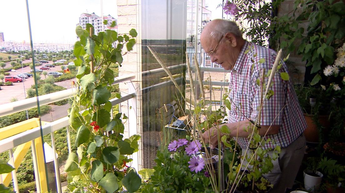 Meneer Goossens uit Breskens woont in een flat maar heeft straks toch zonne-energie. Dus doet hij mee in de coöperatie van Breskens