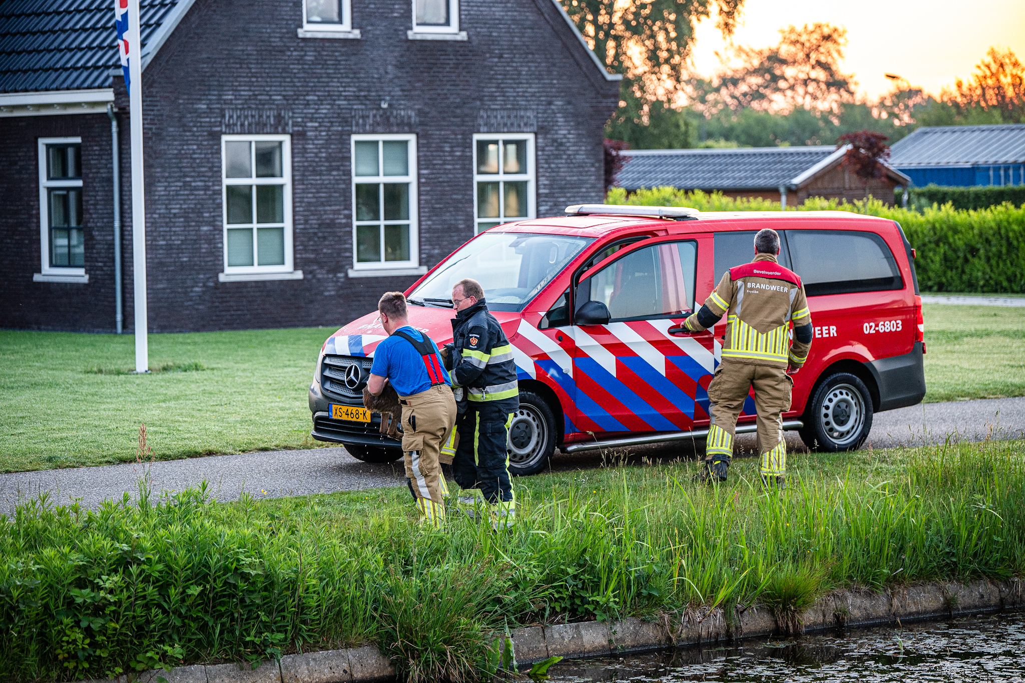Nieuws