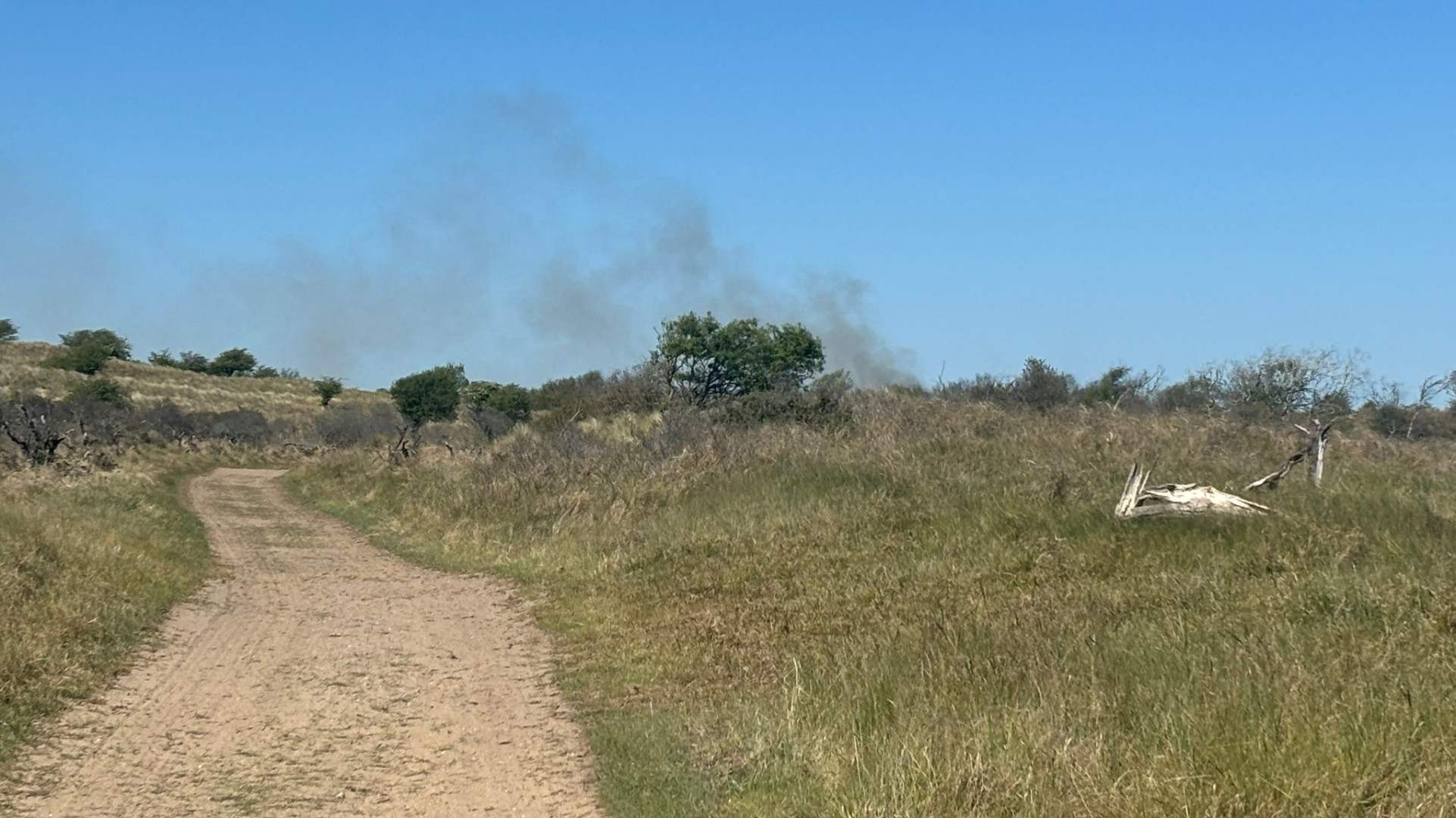 Brand in duinen bij Noordwijk: 800 vierkante meter natuur verwoest — image 4