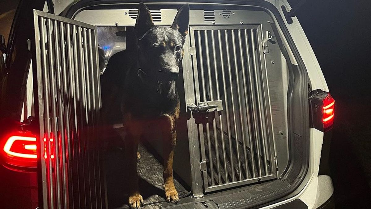 Auto op zijn kant in Nijemirdum | Politiehond en helikopter ingezet bij zoektocht De Blesse