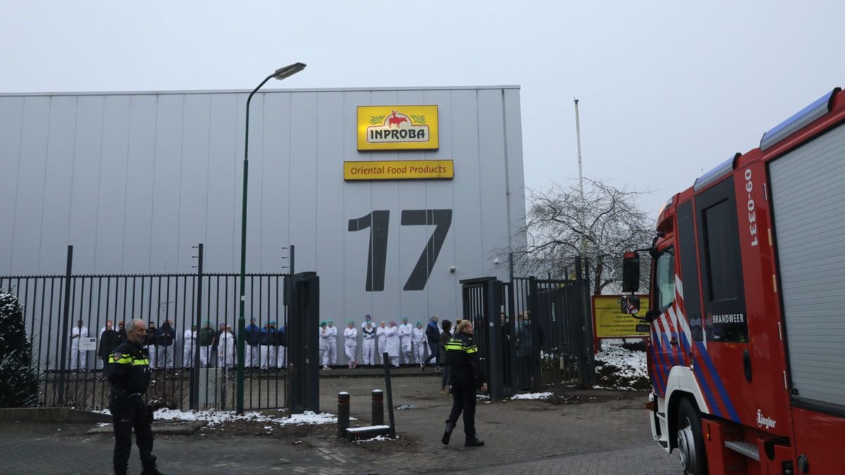 Bedrijf in Baarn ontruimd na brand