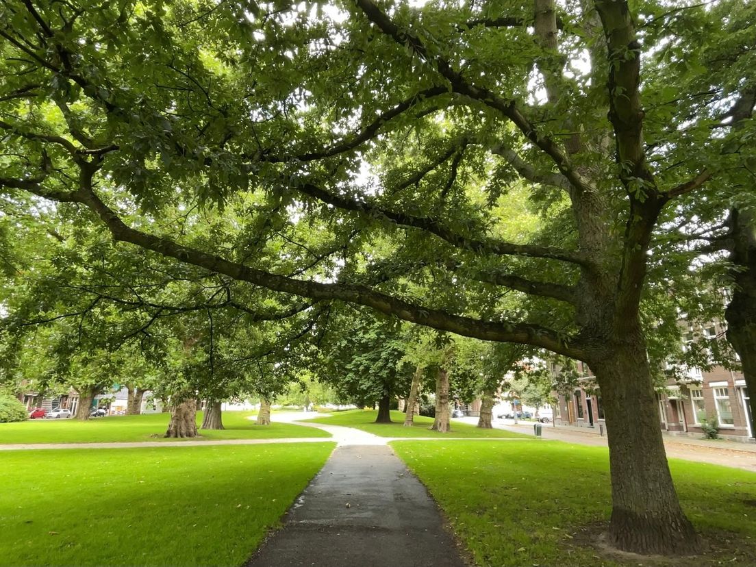 Een wandelpad in De Plantage