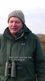 Wintervogels in Onlanden