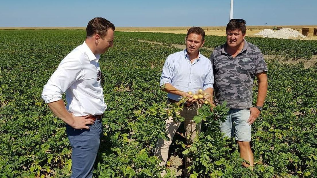 Jo-Annes de Bat met kleine aardappelen in zijn handen