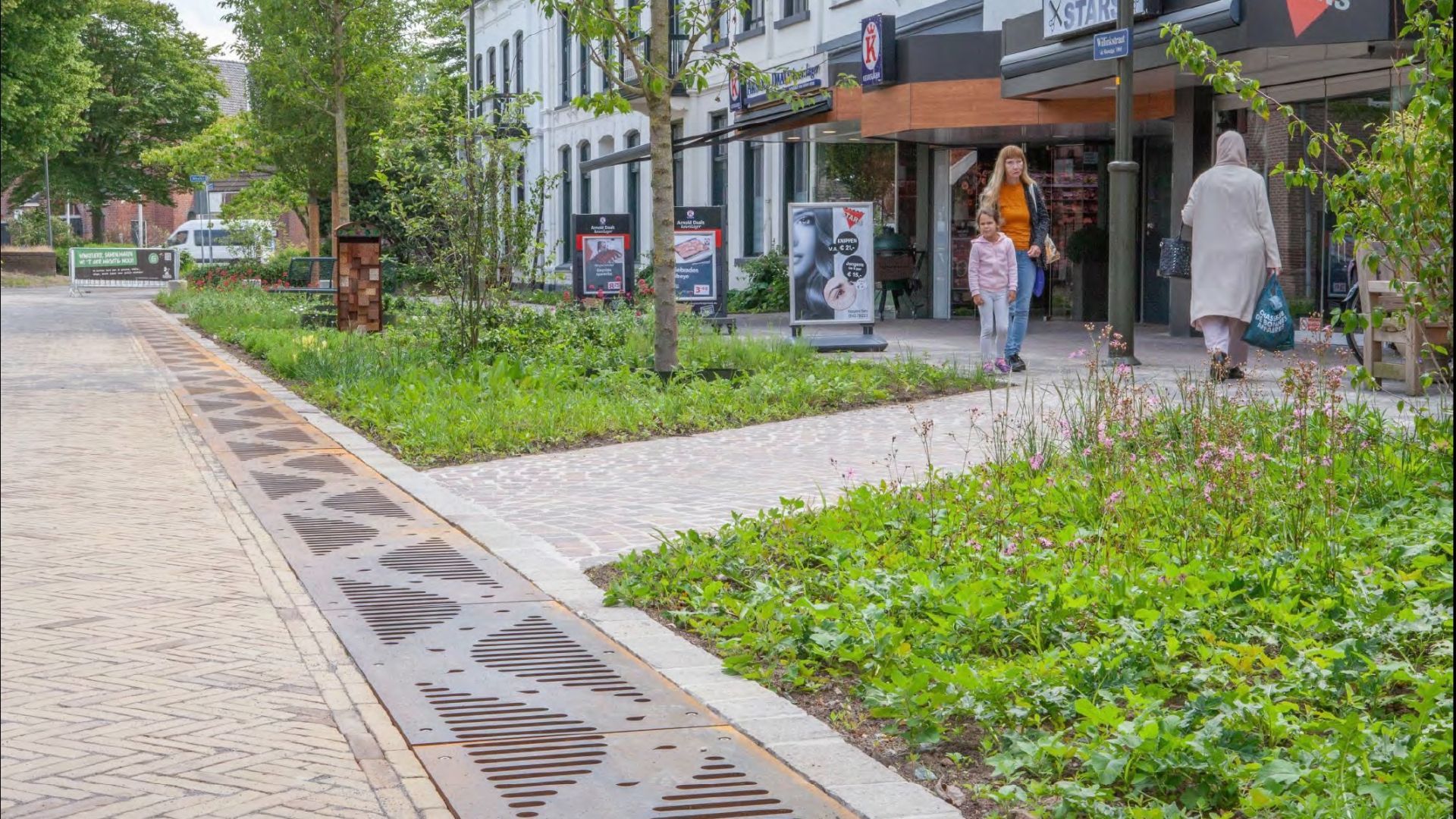 De groenere en klimaatbestendige Willinkstraat.