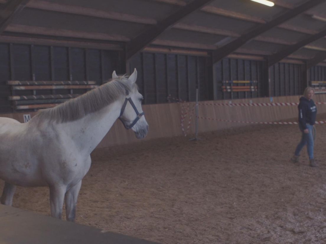 Werken als een paard - Chanel