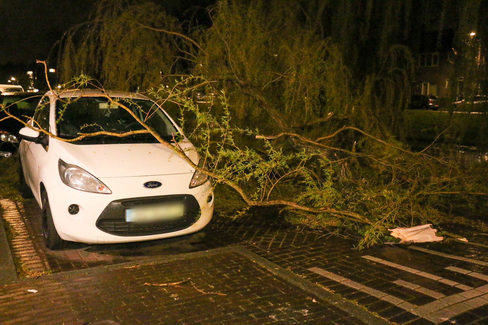 Een grote tak kwam op een geparkeerde auto terecht.