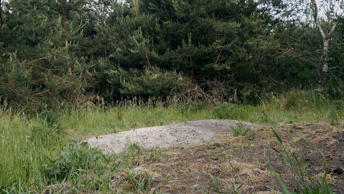 Ruinen in beeld voor natuurbegraafplaats, aanleg kost ruim kwart miljoen