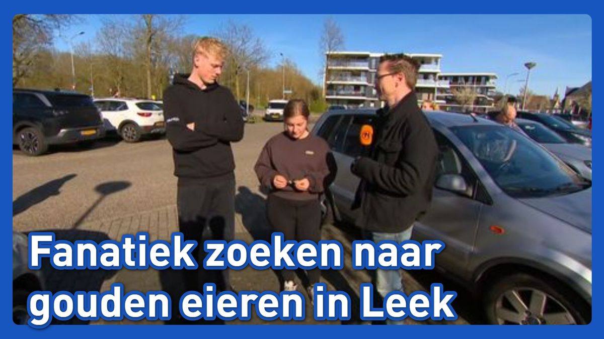 Snelle zoektocht in Leek