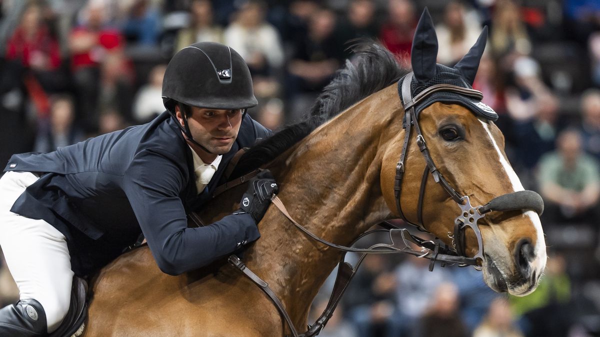 De magie van paardenevenement Indoor Friesland? "Dat is heel ongrijpbaar"