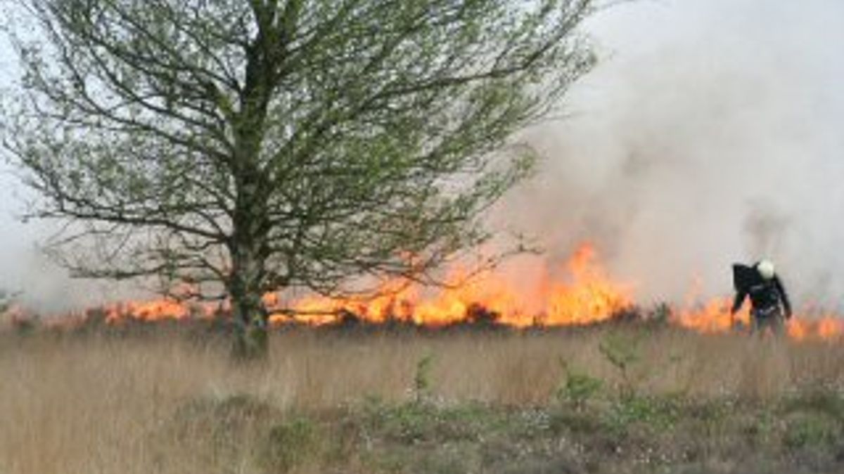 Natuurbrand in Hooghalen
