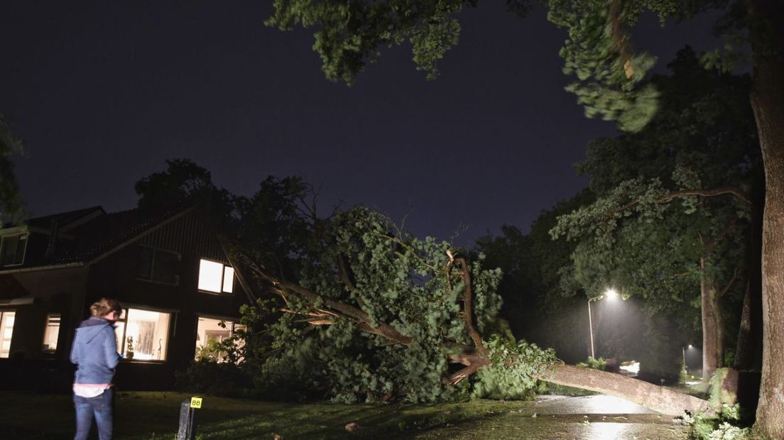 Stormschade in Nijeveen (Rechten: Van Oost Media)