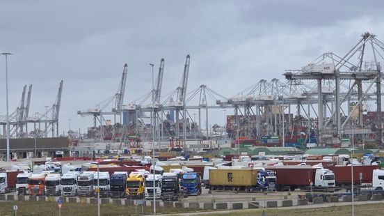 Chauffeurs zijn urenlange wachtrijen in de haven zat: 'Dit raakt de hele economie'
