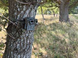 Wildcamera geeft een kijkje in de verborgen dierenwereld