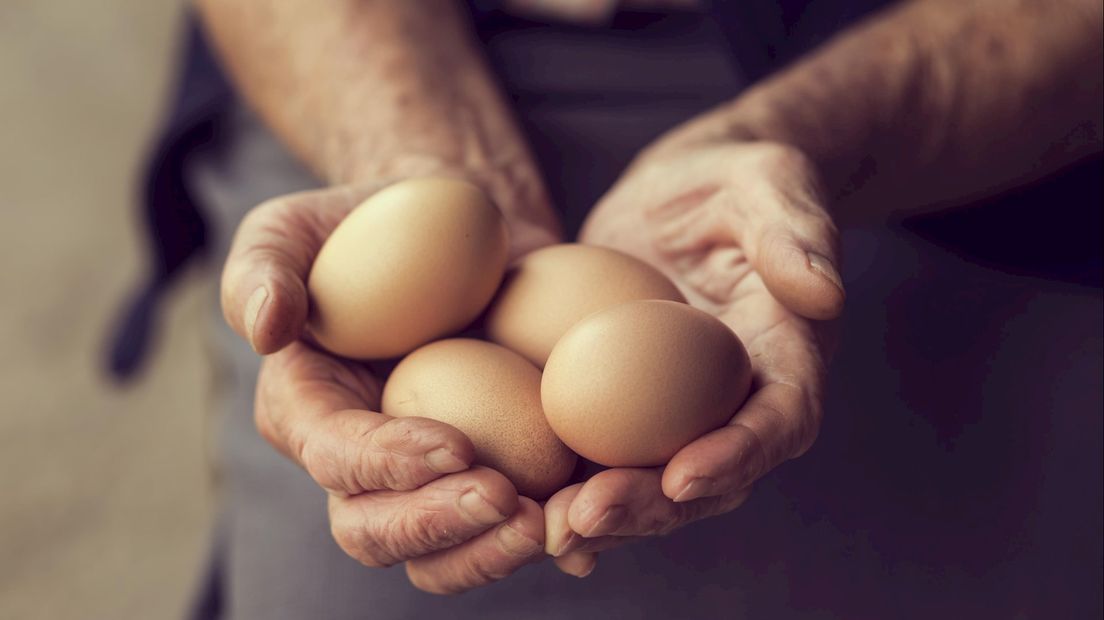 Nog veertien bedrijven gesloten vanwege besmette eieren