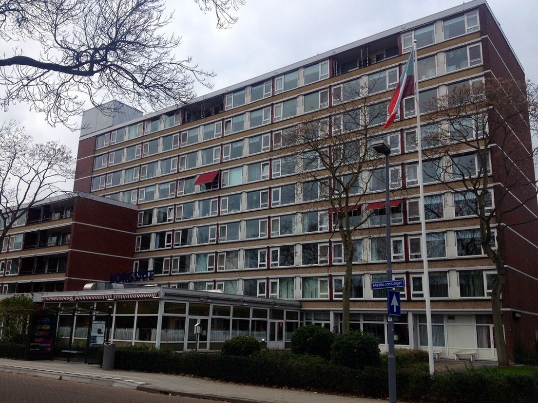borgsate_meidoornsingel