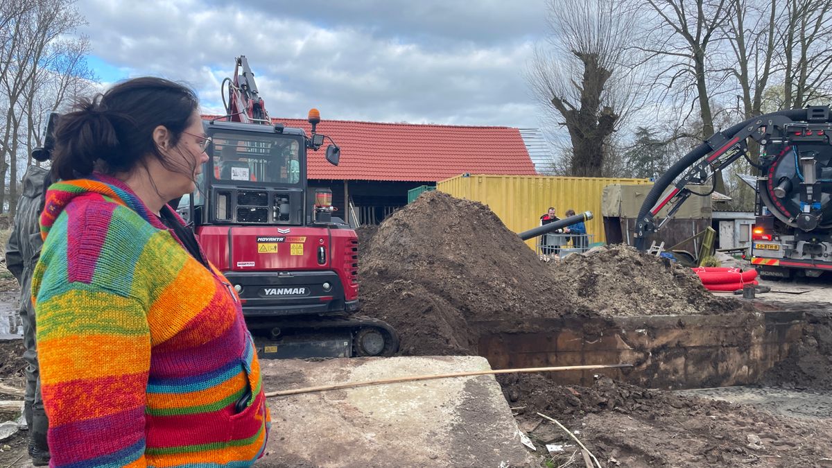 Openbaar Ministerie: 'Boek over Willeke Dost geen aanleiding om zaak te heropenen'