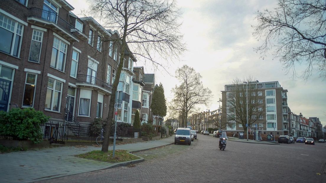 Een deel van de Burgemeesterswijk in Arnhem.