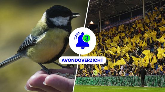 Record verbroken, Vitessefans kondigen acties aan en opmerkelijke diefstal op 3 april