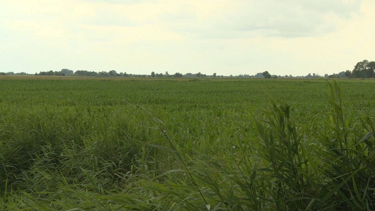 Oudega (Sm.) krijgt nieuw meer van 50 hectare 