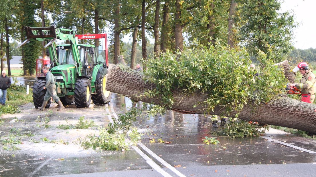 Het herfstachtige weer heeft in Barneveld voor de eerste schade gezorgd. Op de Wesselseweg lagen dinsdag vijf bomen over de weg.