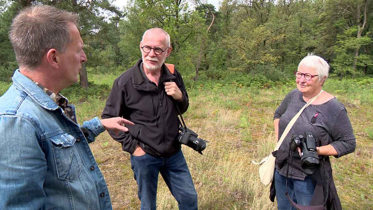 Óngerwaeg duikt in elke vierkante meter van Lomm