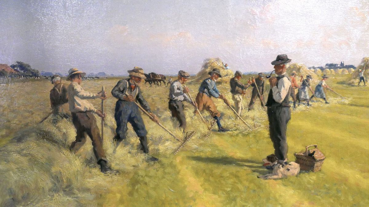 Poepestek en Ekkelkaamp, Stellingwerver veldnamen 