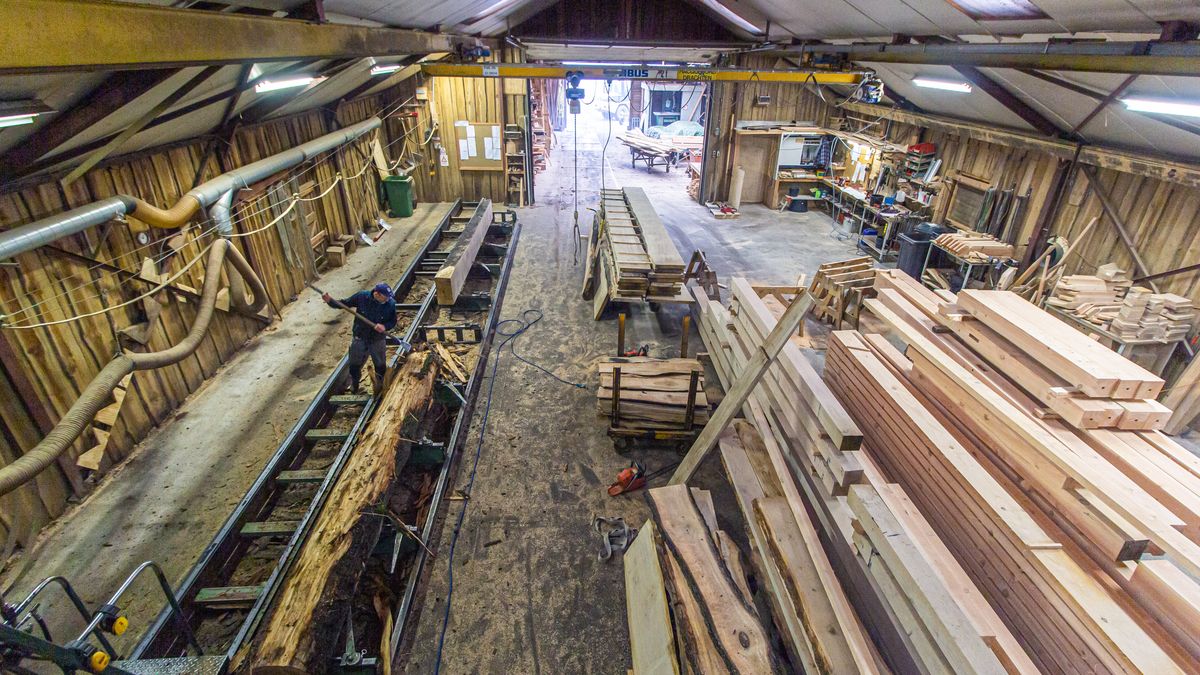 Ondernemen in Drenthe: van boomstam tot gebint