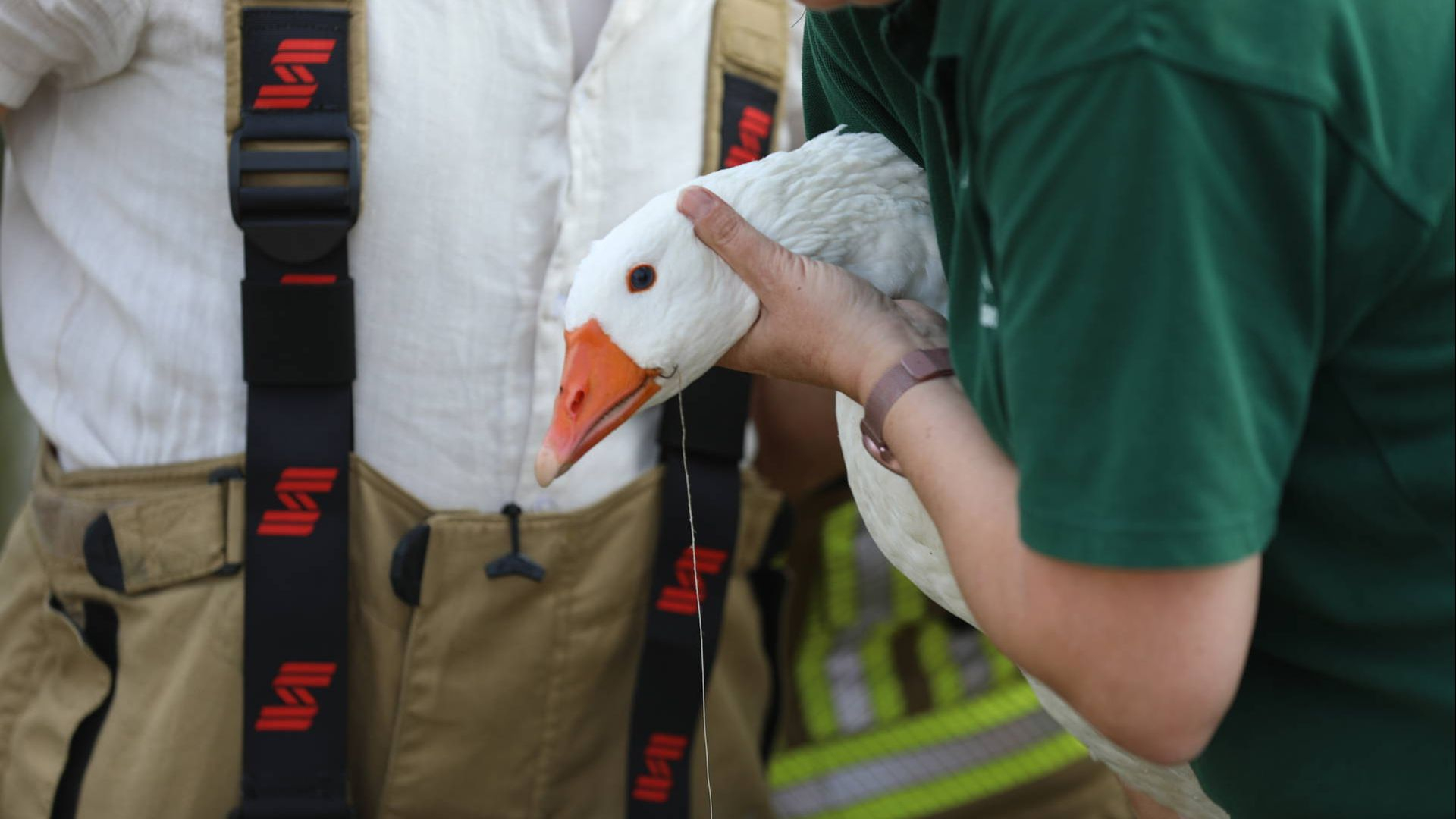 Brandweer voor de tweede keer in week tijd op ganzenjacht