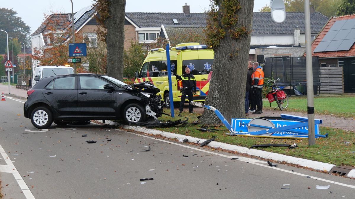 Automobilist botst op boom en plaatsnaambord in Noordscheschut