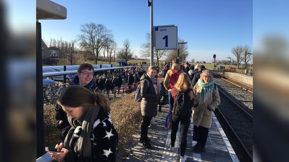 Minsken wachtsje op ferfangende bussen