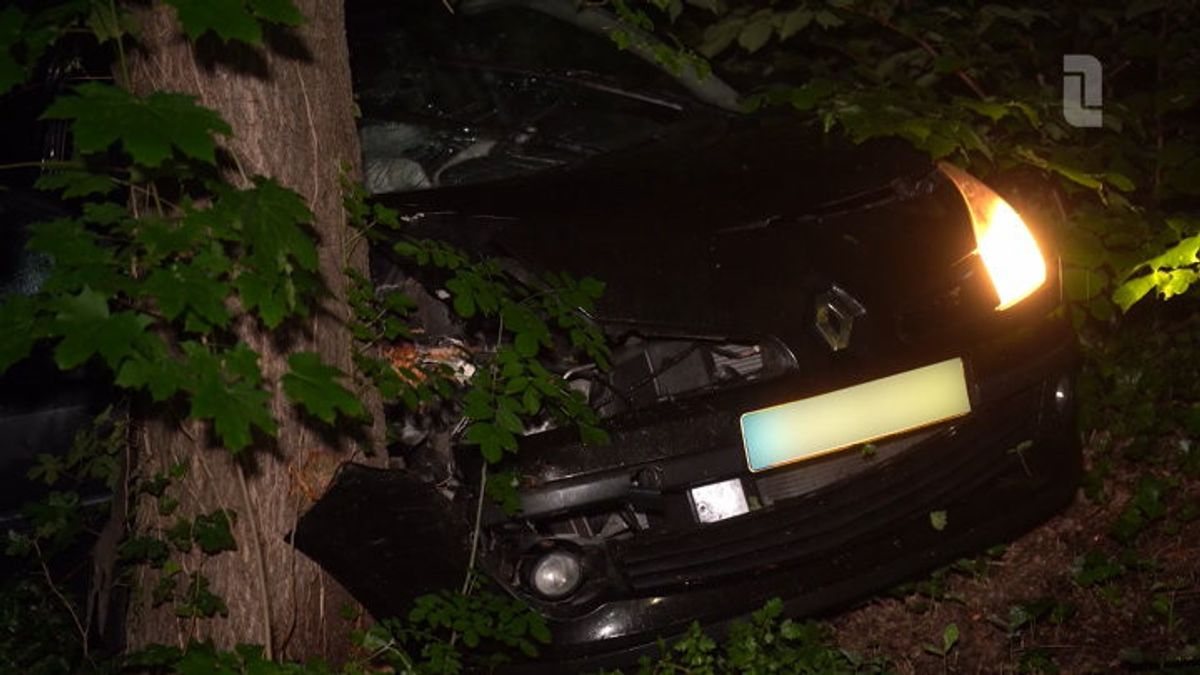 Auto botst tegen boom in Valkenburg: bestuurder gewond