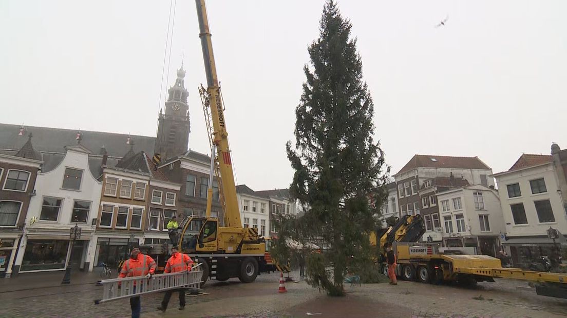 De kerstboom op de Markt in Gouda staat er weer