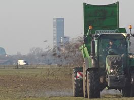 Dilemma foar boeren: hoe moat Fryslân goed 5 miljoen ton dongoerskot ôffiere?