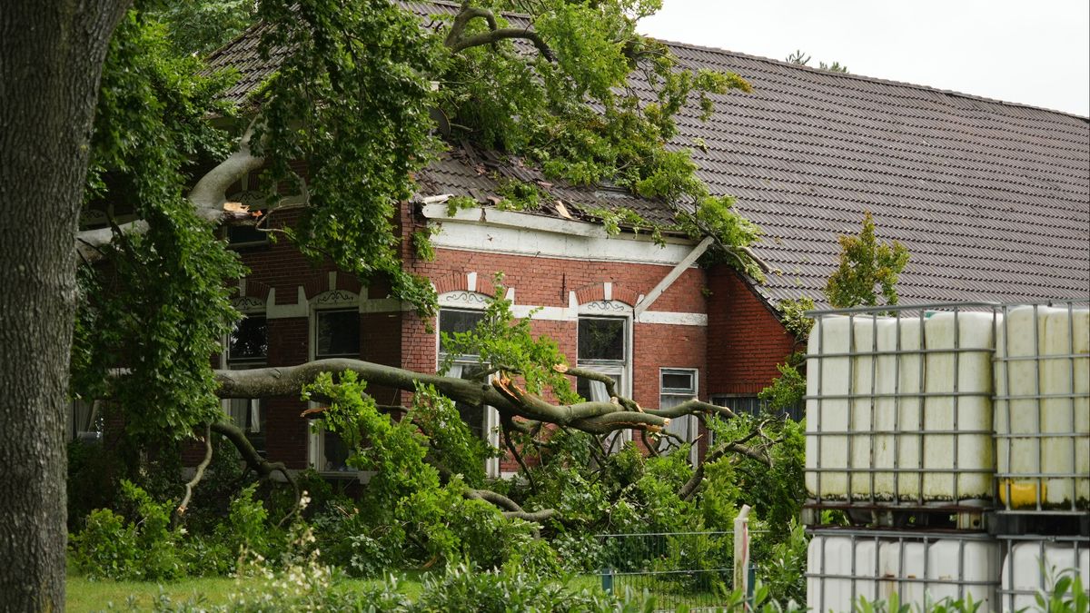 112-nieuws: Auto botst tegen vangrail op A7 bij Scheemda, inzittenden met schrik vrij