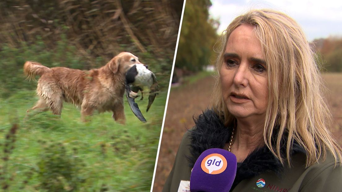 Er deden 21 honden mee aan de wedstrijd.