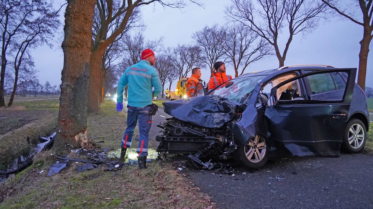 Auto botst frontaal tegen boom bij Wapserveen, bestuurder gewond
