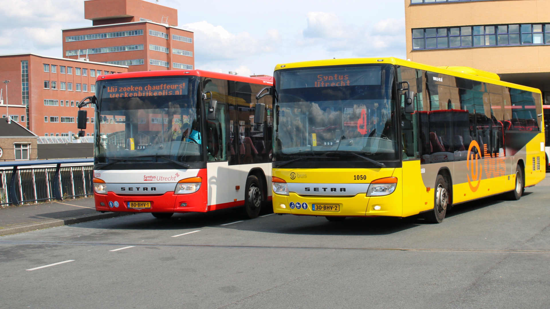 Dieselbussen van Syntus