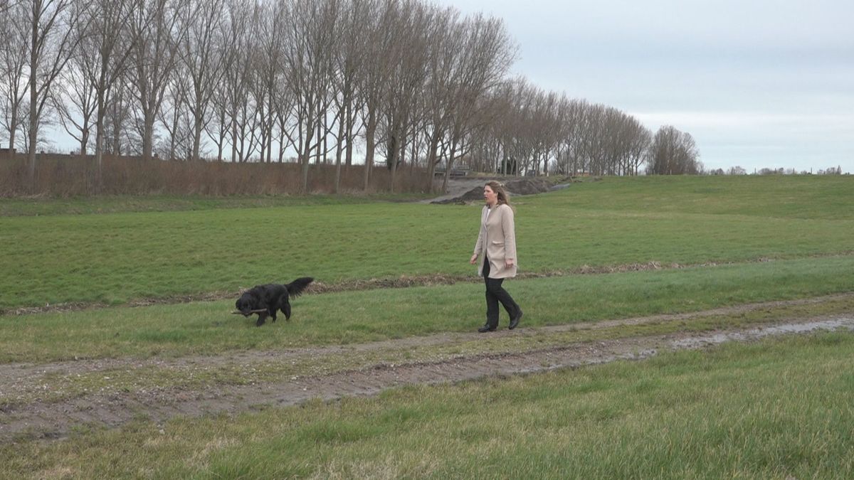 In Stompwijk zorgt een plan voor tiny houses voor onrust bij dorpsbewoners.