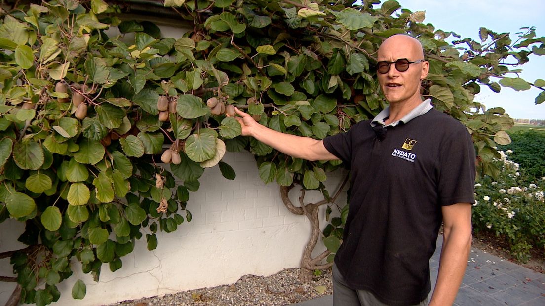 Boer: 'Ik kan altijd nog kiwi's gaan telen'