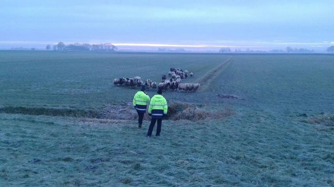 Dijkwachten op het Kampereiland