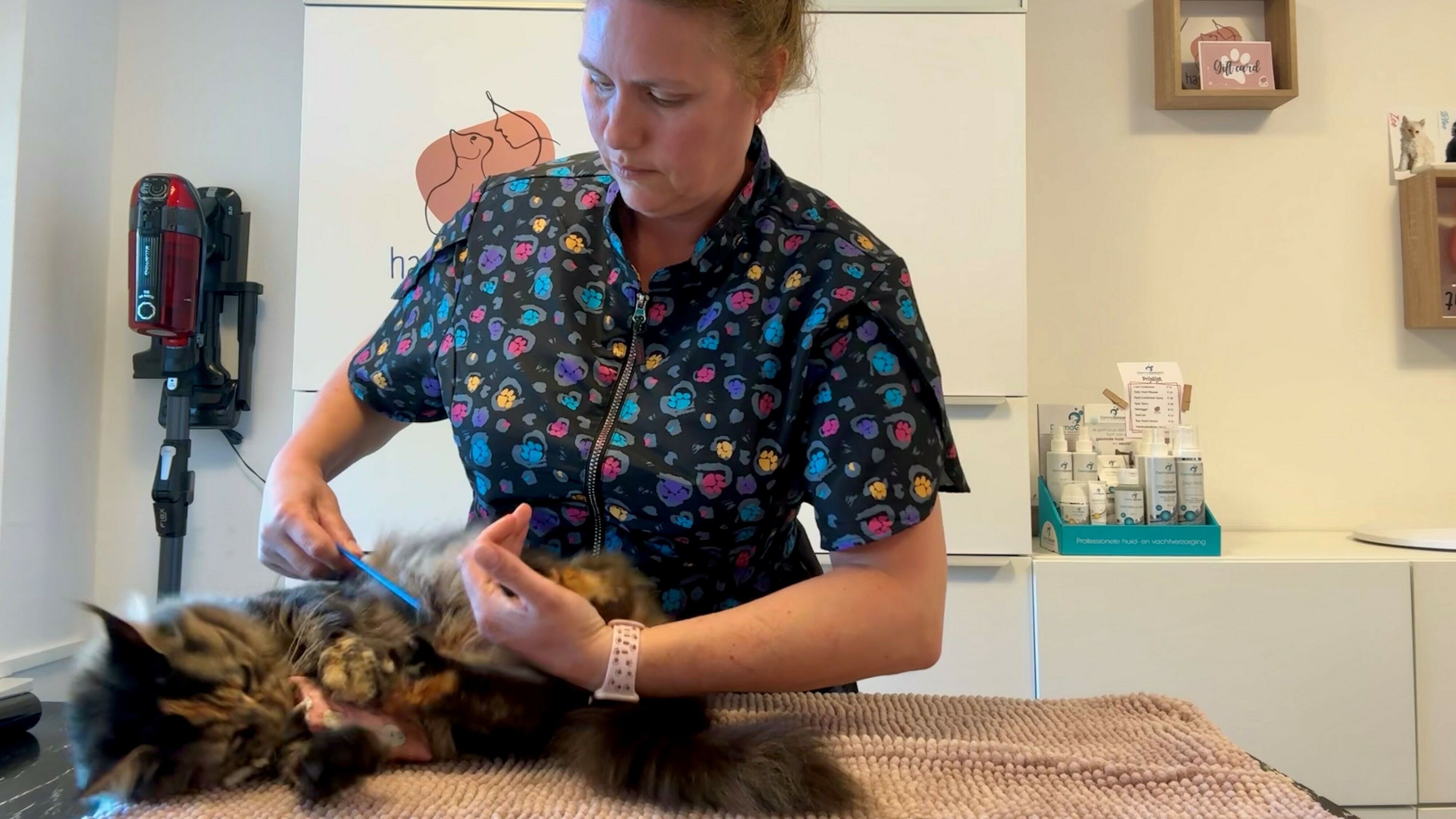 Mei wat lekkers kin de kat ôflieden wurde ûnder de behanneling