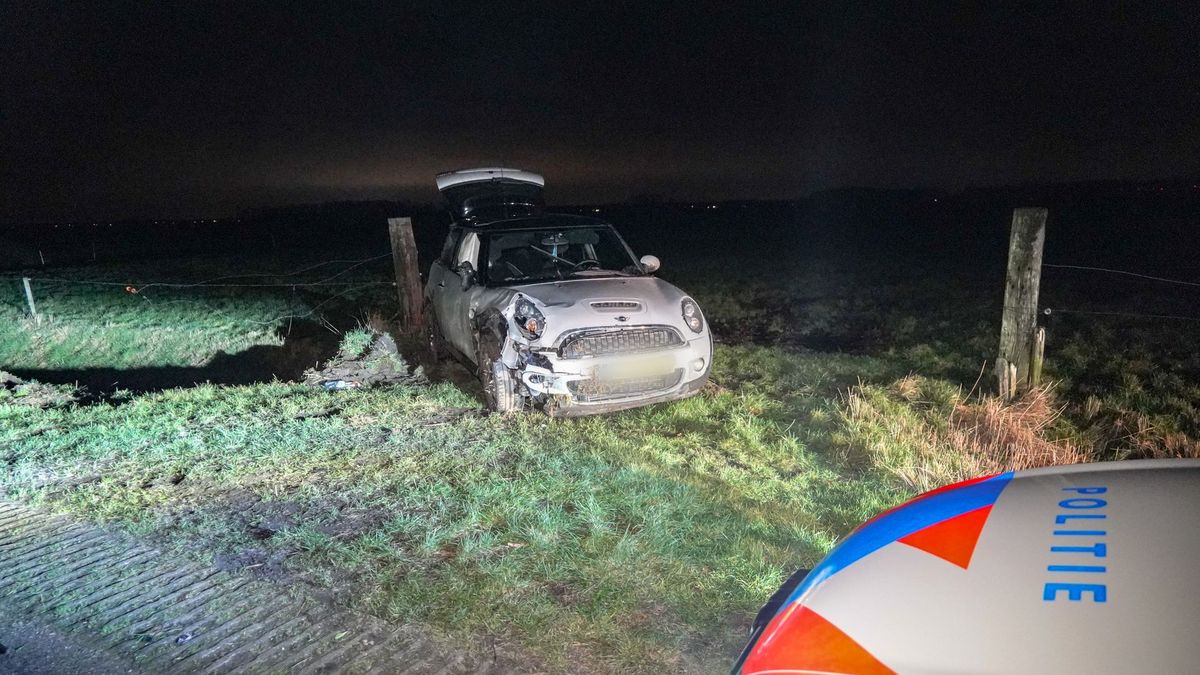 Vluchtende Emmenaar raast over A28 en eindigt in weiland bij Annen