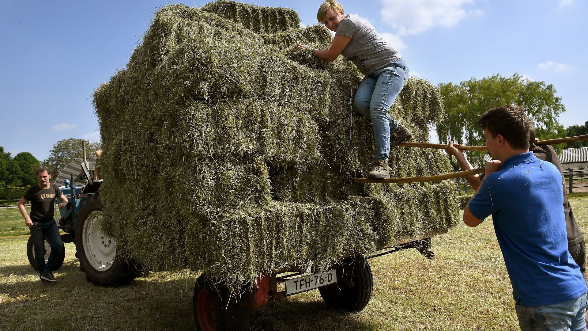 Dit is er dit weekend te doen in onze provincie